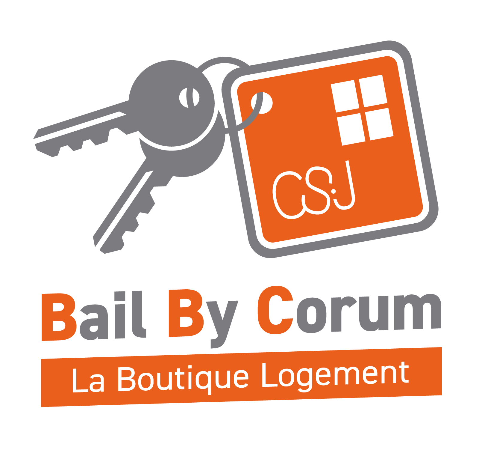 Logo Boutique Logement